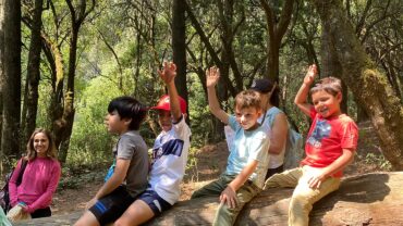 FIESTAS INFANTILES EN EL BOSQUE