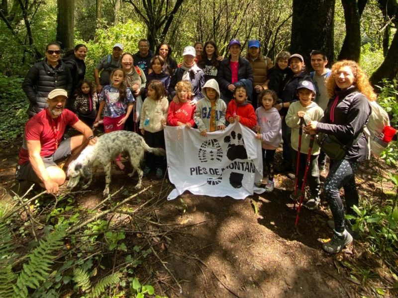 EXPLORADORES DEL BOSQUE