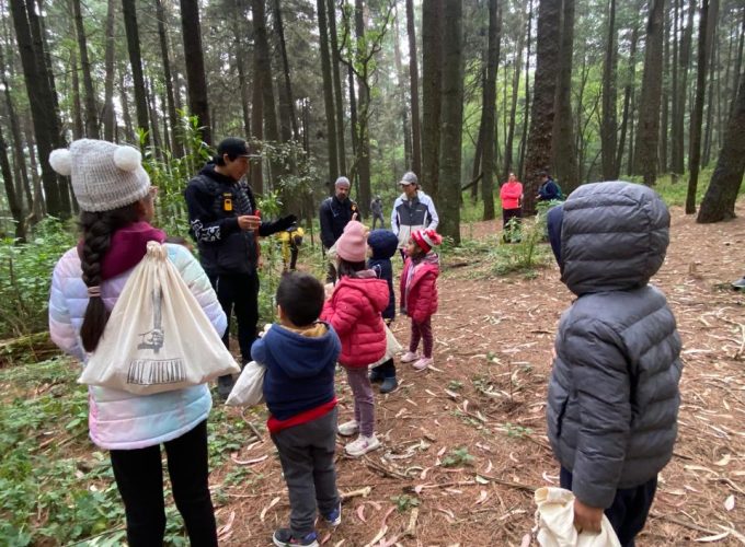 EXPLORADORES DEL BOSQUE