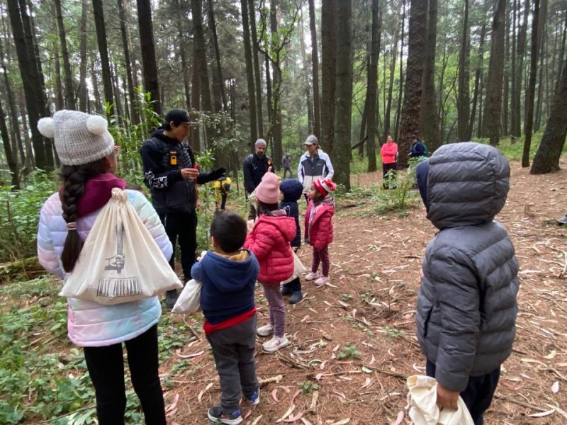 EXPLORADORES DEL BOSQUE