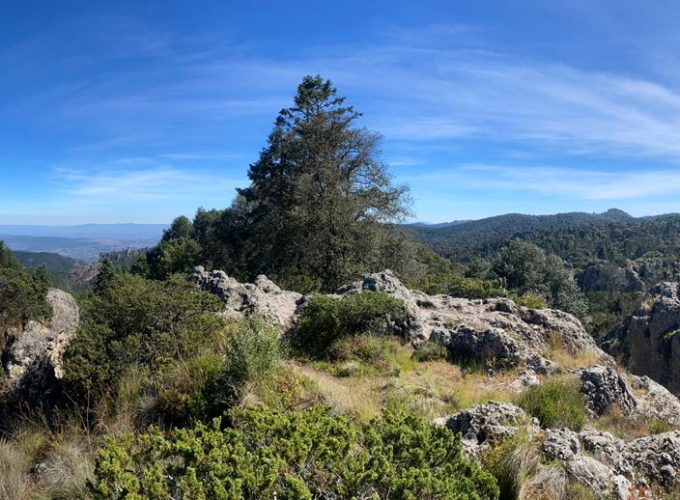 LABERINTO DE PIEDRAS