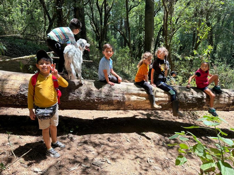 MI PRIMER HIKE Aventura Jurásica