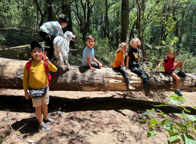 MI PRIMER HIKE Experiencia Sensorial